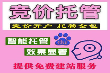 成功案例解读：SEM推广代运营策略